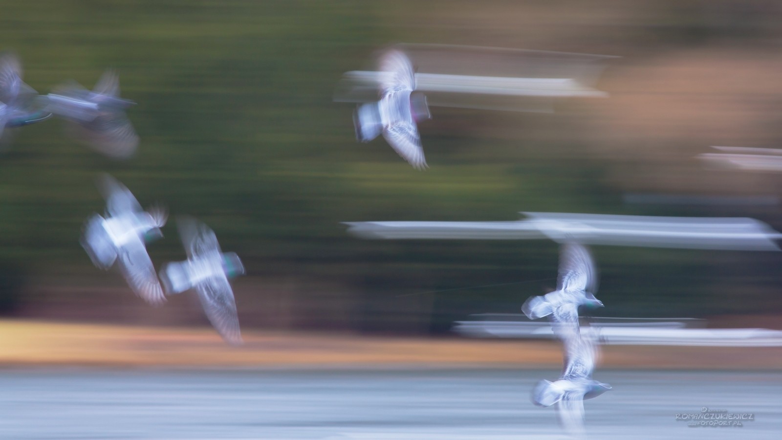 Intentional Camera Movement - ICM - celowe poruszenie kamerą