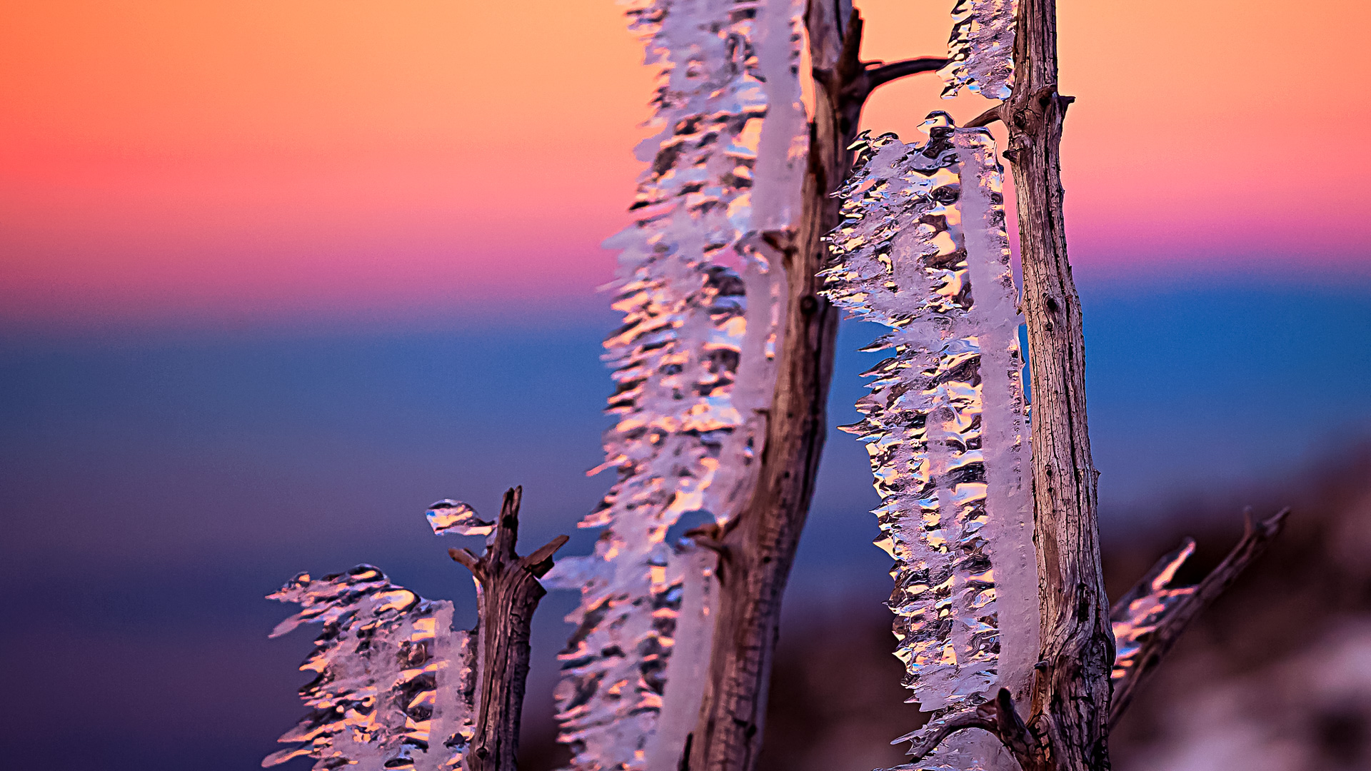 Po lodowej burzy. Karkonosze fot.Krzysztof Romańczukiewicz fotoPort.pl